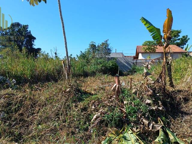 #T010 - Terreno para Venda em Itanhaém - SP - 1