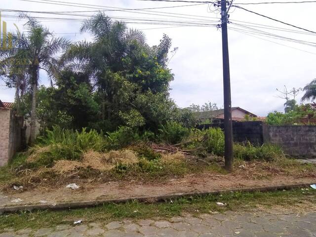 #T013 - Terreno para Venda em Itanhaém - SP - 1