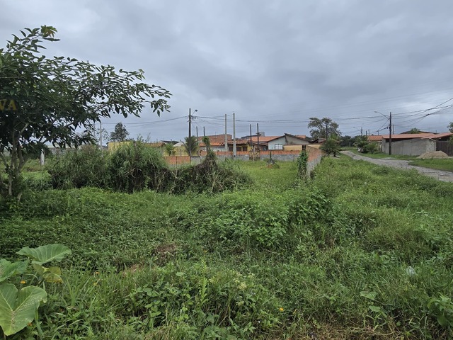 #T021 - Terreno para Venda em Itanhaém - SP - 2