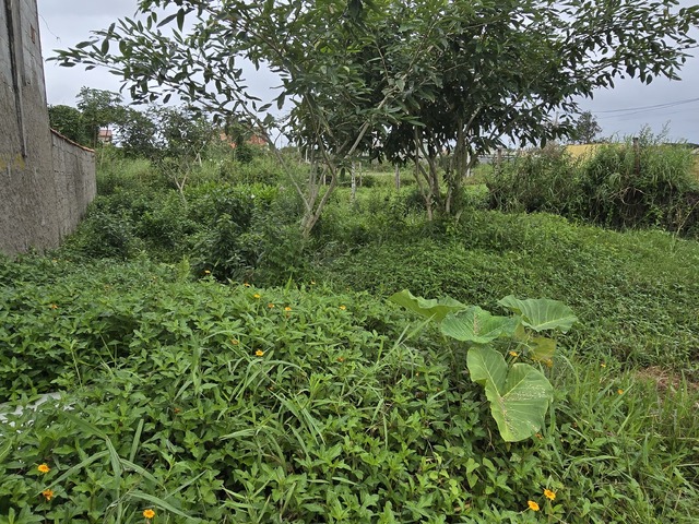 #T021 - Terreno para Venda em Itanhaém - SP - 3