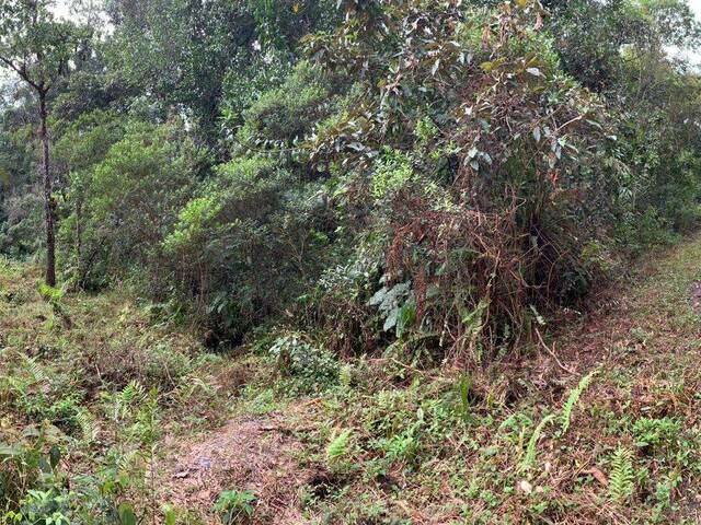 #T024 - Terreno para Venda em Itanhaém - SP - 1