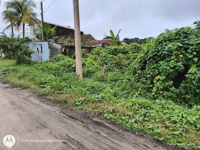 #T026 - Terreno para Venda em Itanhaém - SP - 1