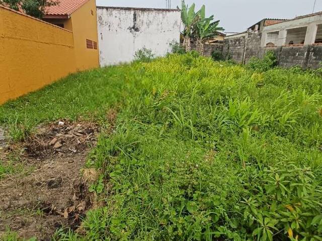 #T032 - Terreno para Venda em Itanhaém - SP - 2