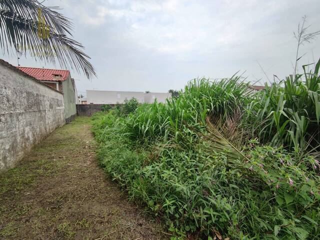 #T033 - Terreno para Venda em Itanhaém - SP - 2